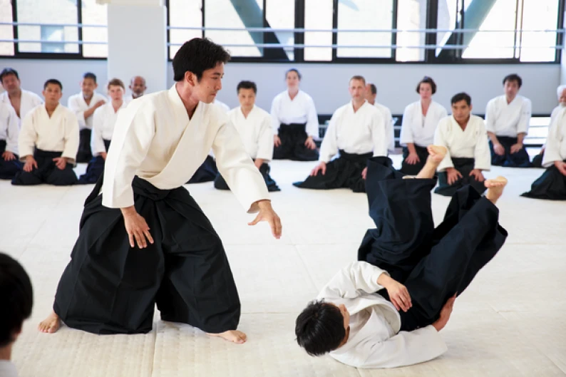 Matras Aikido Matras Aikido Superior 100x200x5cm 1 aikidoa